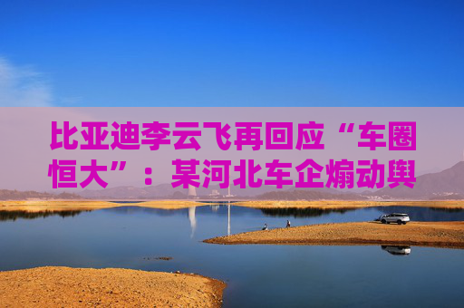 比亚迪李云飞再回应“车圈恒大”：某河北车企煽动舆论，经查没有问题