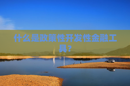 什么是政策性开发性金融工具？