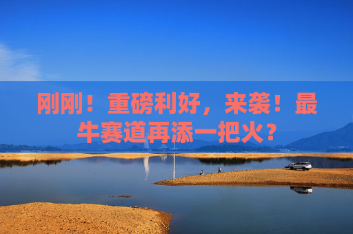 刚刚！重磅利好，来袭！最牛赛道再添一把火？