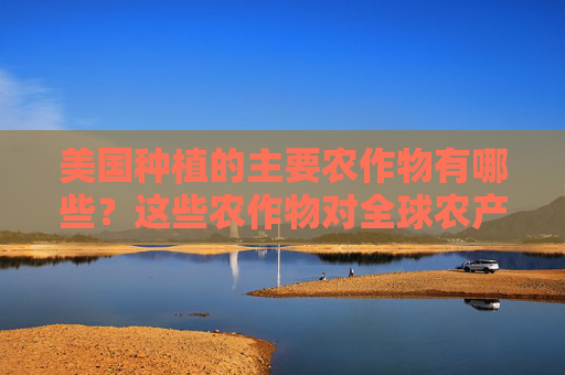 美国种植的主要农作物有哪些？这些农作物对全球农产品市场有何影响？