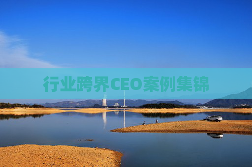 行业跨界CEO案例集锦