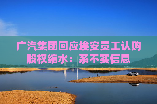 广汽集团回应埃安员工认购股权缩水：系不实信息
