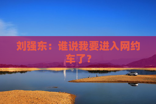 刘强东：谁说我要进入网约车了？