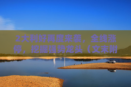 2大利好再度来袭，全线涨停，挖掘强势龙头（文末附名单）