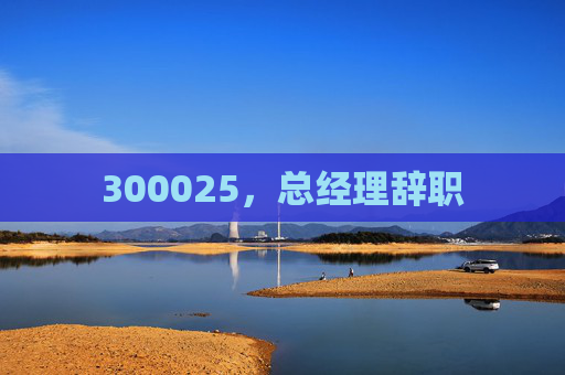300025，总经理辞职