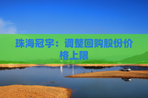 珠海冠宇：调整回购股份价格上限