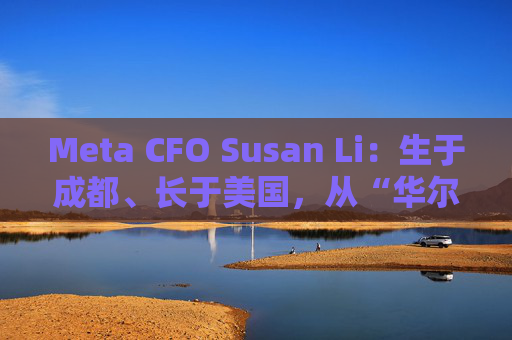 Meta CFO Susan Li：生于成都、长于美国，从“华尔街神童”到“大厂CFO”