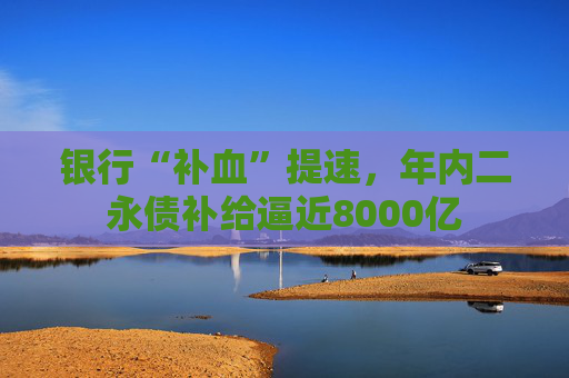 银行“补血”提速，年内二永债补给逼近8000亿