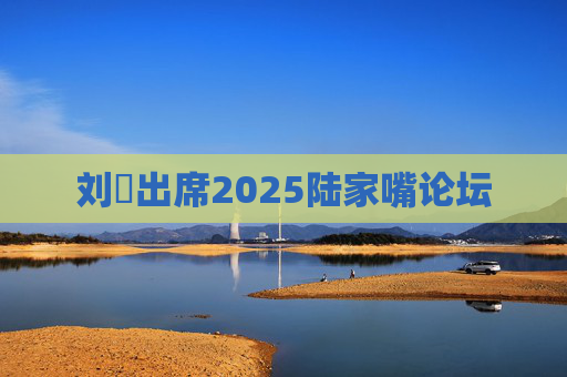刘珺出席2025陆家嘴论坛