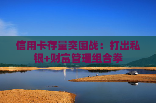 信用卡存量突围战：打出私银+财富管理组合拳