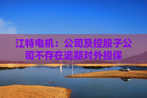 江特电机：公司及控股子公司不存在逾期对外担保
