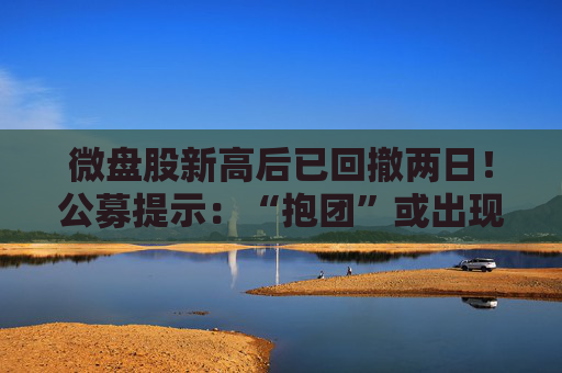 微盘股新高后已回撤两日！公募提示：“抱团”或出现松动