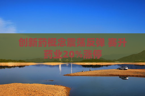 创新药概念震荡反弹 赛升药业20%涨停