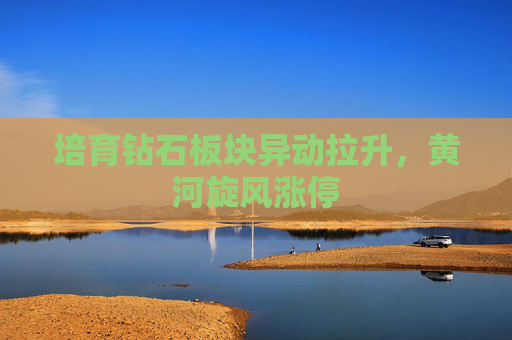培育钻石板块异动拉升，黄河旋风涨停