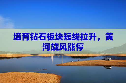 培育钻石板块短线拉升，黄河旋风涨停