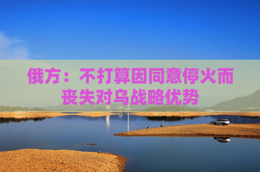 俄方：不打算因同意停火而丧失对乌战略优势