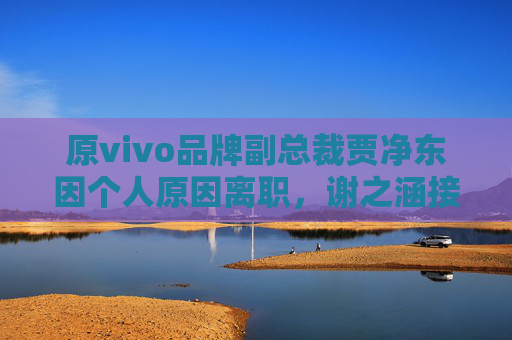 原vivo品牌副总裁贾净东因个人原因离职，谢之涵接任