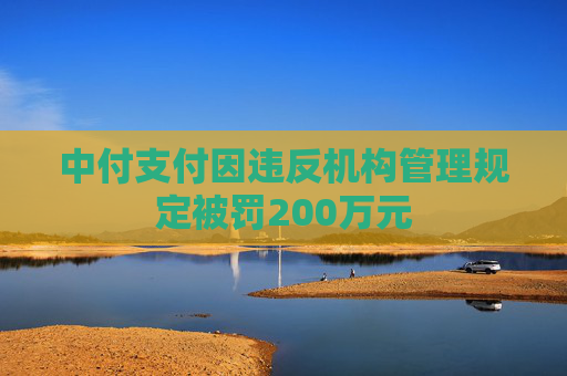 中付支付因违反机构管理规定被罚200万元