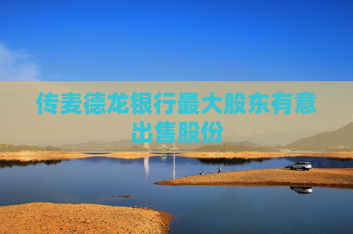 传麦德龙银行最大股东有意出售股份