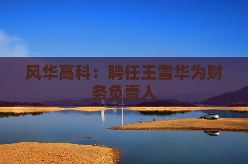 风华高科：聘任王雪华为财务负责人