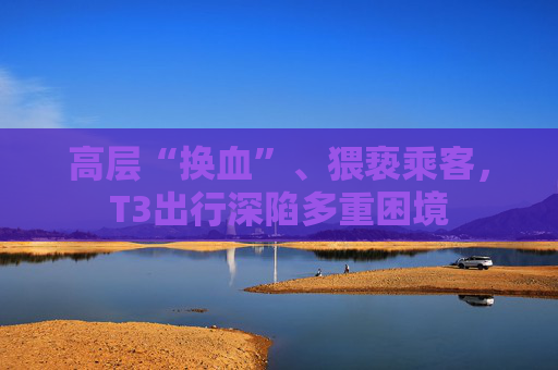 高层“换血”、猥亵乘客，T3出行深陷多重困境