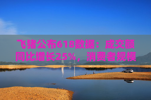 飞猪公布618数据：成交额同比增长25%，消费者规模增长约30%