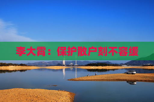 李大霄：保护散户刻不容缓