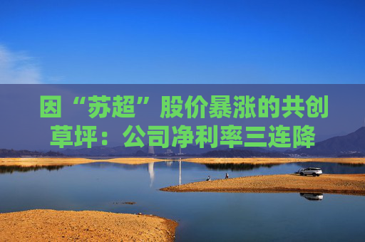 因“苏超”股价暴涨的共创草坪：公司净利率三连降