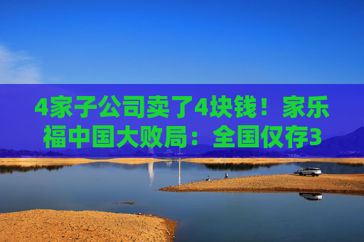 4家子公司卖了4块钱！家乐福中国大败局：全国仅存3家门店，购物卡黄牛也不收了