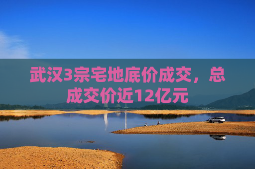 武汉3宗宅地底价成交，总成交价近12亿元