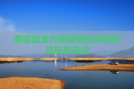 美国盟友对美国袭击伊朗核设施的反应