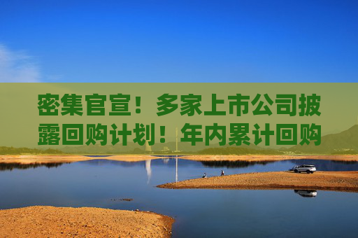 密集官宣！多家上市公司披露回购计划！年内累计回购超700亿元