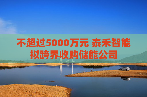 不超过5000万元 泰禾智能拟跨界收购储能公司