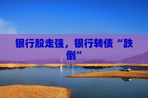 银行股走强，银行转债“跌倒”