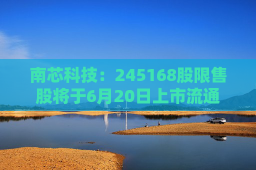 南芯科技：245168股限售股将于6月20日上市流通
