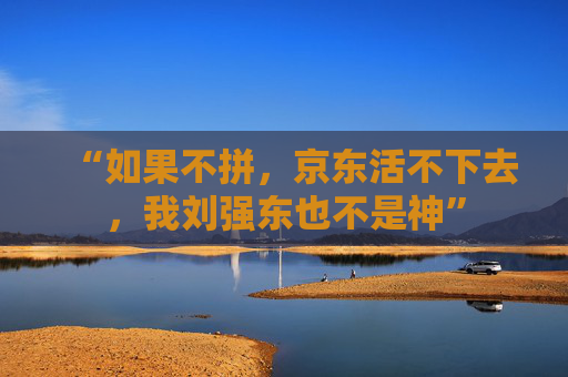 “如果不拼，京东活不下去，我刘强东也不是神”