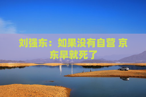 刘强东：如果没有自营 京东早就死了