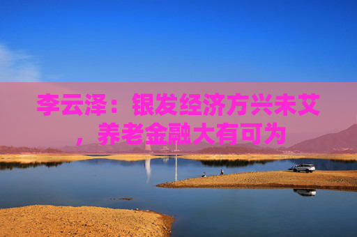 李云泽：银发经济方兴未艾，养老金融大有可为