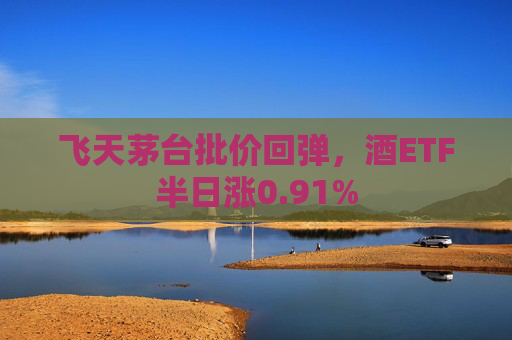 飞天茅台批价回弹，酒ETF半日涨0.91%