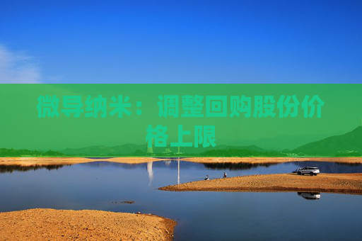微导纳米：调整回购股份价格上限
