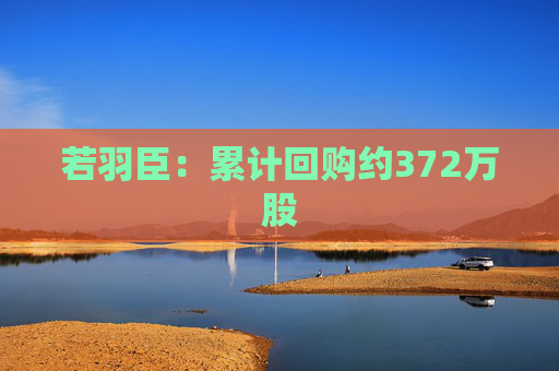 若羽臣：累计回购约372万股