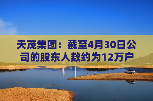 天茂集团：截至4月30日公司的股东人数约为12万户