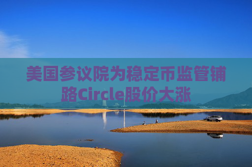 美国参议院为稳定币监管铺路Circle股价大涨