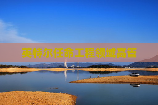 英特尔任命工程领域高管