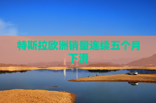 特斯拉欧洲销量连续五个月下滑