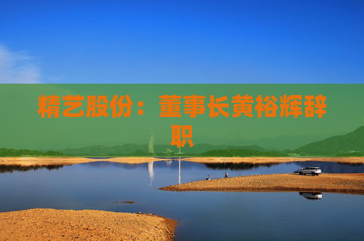 精艺股份：董事长黄裕辉辞职