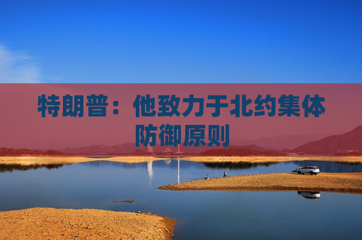 特朗普：他致力于北约集体防御原则