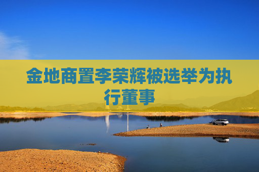 金地商置李荣辉被选举为执行董事