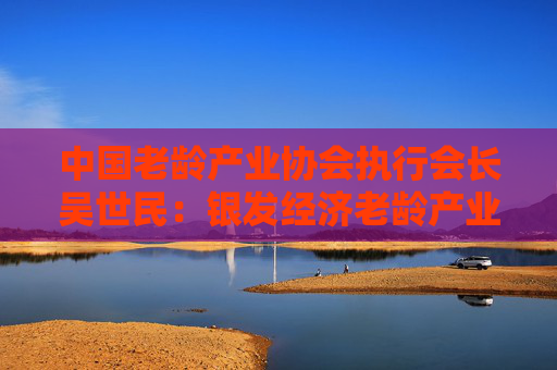 中国老龄产业协会执行会长吴世民：银发经济老龄产业不仅是经济命题，更是国家、民族文明进步的标尺