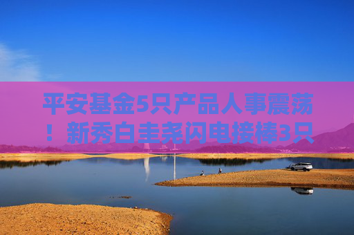 平安基金5只产品人事震荡！新秀白圭尧闪电接棒3只基金，搭档量化老将钱晶，任职回报68%